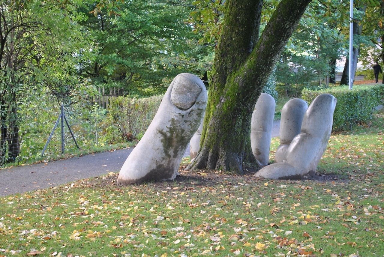 arbre-paume-main